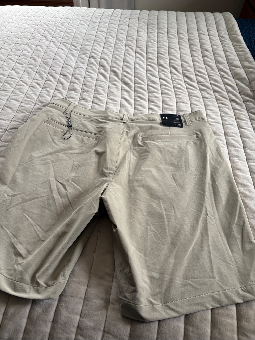 Under Armour Men's Beige Performance Shorts